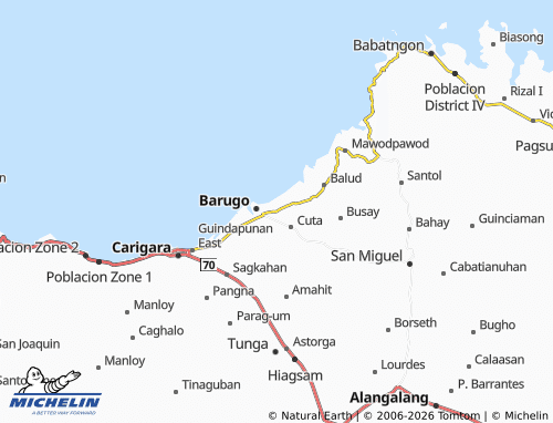 MICHELIN Domogdog map - ViaMichelin
