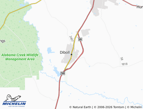 Mapa MICHELIN Diboll - ViaMichelin