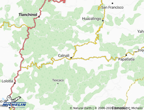 MICHELIN San Isidro map - ViaMichelin
