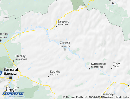Carte MICHELIN Zarinsk - ViaMichelin