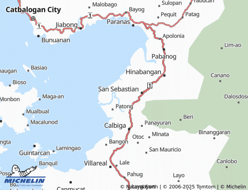 MICHELIN San Ignacio map - ViaMichelin