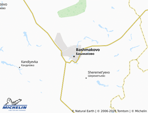 Carte MICHELIN Bashmakovo - ViaMichelin