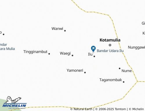 MICHELIN Waegi map - ViaMichelin