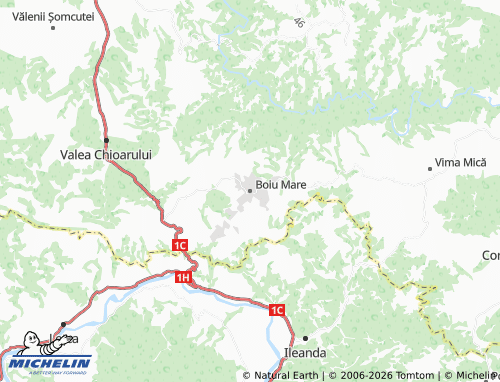Mappa MICHELIN Boiu Mare - ViaMichelin