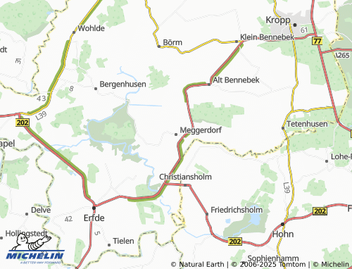 MICHELIN Meggerdorf map - ViaMichelin