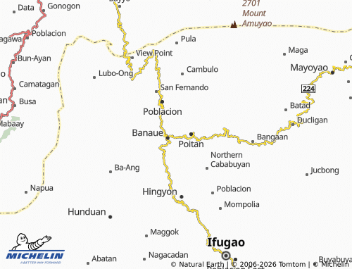 MICHELIN Bocos map - ViaMichelin