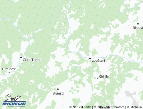 Mapa MICHELIN Pestrițu - ViaMichelin