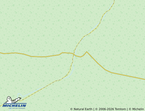 MICHELIN Linqing map - ViaMichelin