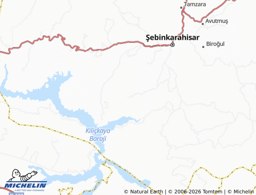 MICHELIN Diler map - ViaMichelin