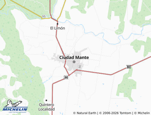 Mappa MICHELIN Miguel Alemán - ViaMichelin
