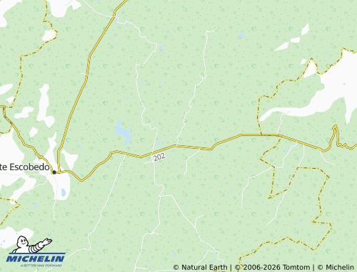 Mappa MICHELIN Vicente Guerrero - ViaMichelin