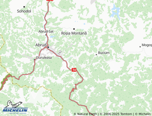 MICHELIN Bucium-Sat map - ViaMichelin