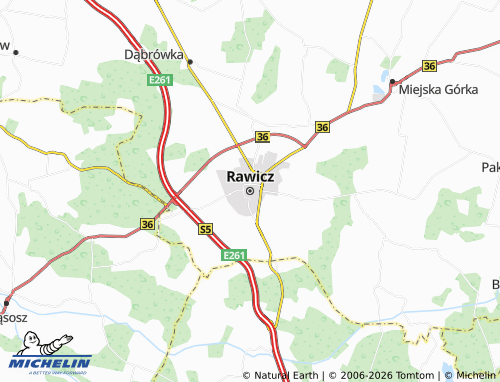 MICHELIN Rawicz map - ViaMichelin
