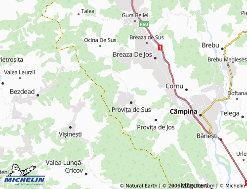 Mappa MICHELIN Plaiu - ViaMichelin