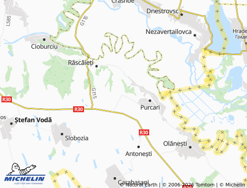 Mapa MICHELIN Viișoara - ViaMichelin