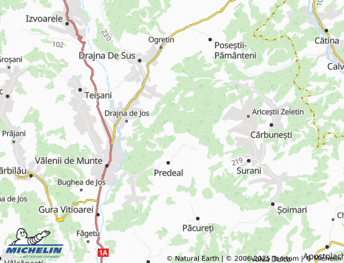 Mapa MICHELIN Tulburea Văleni - ViaMichelin