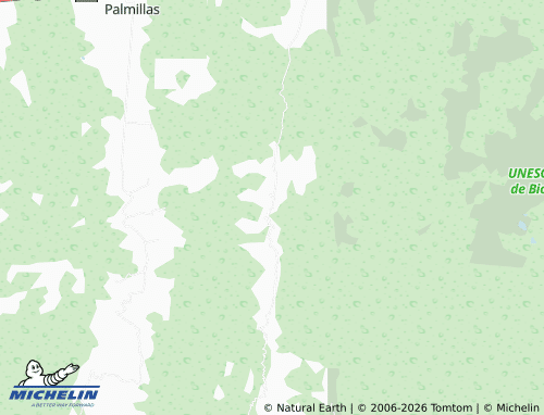 Mappa MICHELIN Paso Real de Guerrero - ViaMichelin