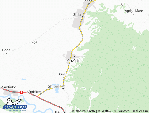 Carte MICHELIN Covăsinț - ViaMichelin