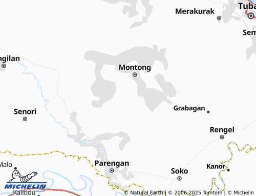MICHELIN Dagangan map - ViaMichelin