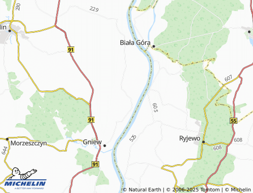 MICHELIN Polskie Gronowo map - ViaMichelin