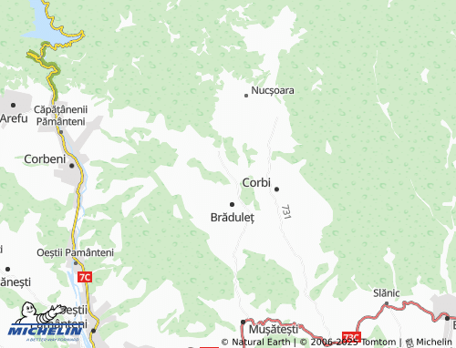 MICHELIN Alunișu map - ViaMichelin