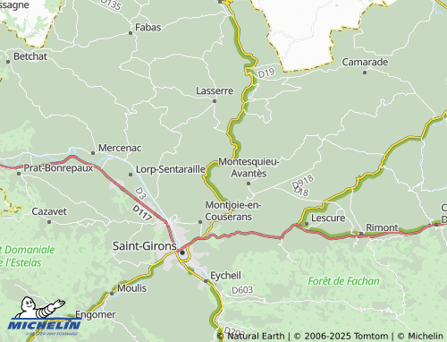 Carte MICHELIN Seille - ViaMichelin