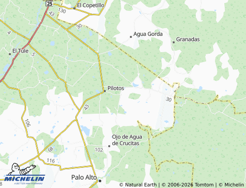 Mapa MICHELIN Ojo de Agua de los Sauces - ViaMichelin