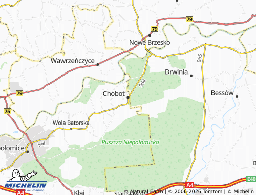 MICHELIN Chobot map - ViaMichelin