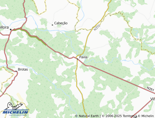 MICHELIN Pavia map - ViaMichelin