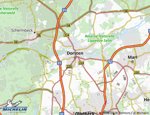MICHELIN Dorsten map - ViaMichelin