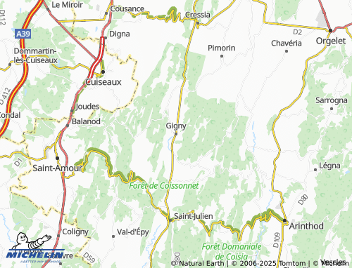 Carte MICHELIN Gigny - ViaMichelin