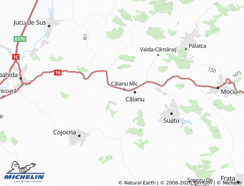Kaart MICHELIN Văleni - ViaMichelin