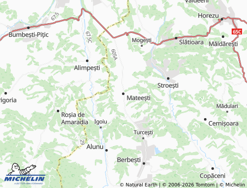 MICHELIN-Landkarte Mateești - ViaMichelin