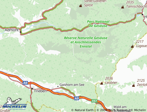 MICHELIN Johnsbach map - ViaMichelin
