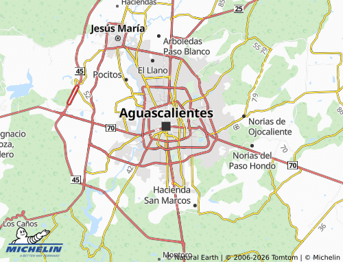 Mapa MICHELIN Residencial El Encino - ViaMichelin