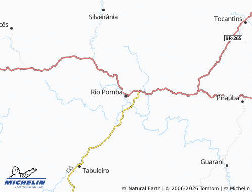 Mappa MICHELIN Rio Pomba - ViaMichelin