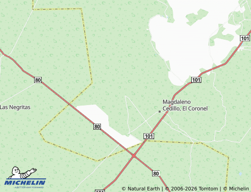 Mappa MICHELIN Nuevo Padilla - ViaMichelin