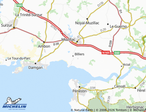 Mappa MICHELIN Billiers - ViaMichelin
