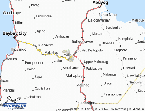 MICHELIN Liberacion map - ViaMichelin