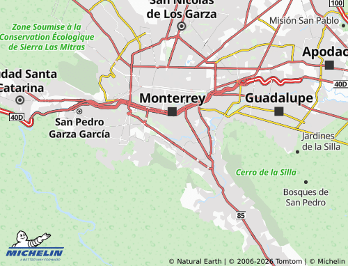 MICHELIN Alfonso Reyes map - ViaMichelin