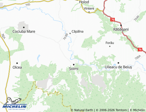 MICHELIN Sânnicolau De Beiuș map - ViaMichelin