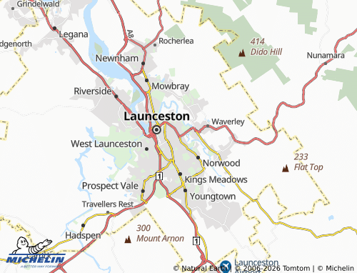 Mapa MICHELIN Newstead - ViaMichelin