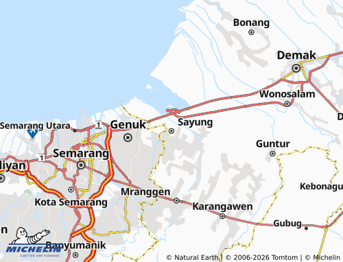 Carte MICHELIN Sayung - ViaMichelin