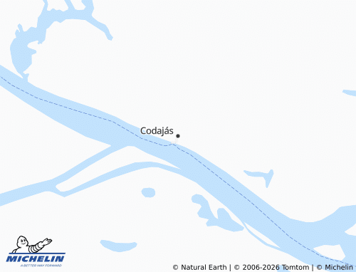 Carte MICHELIN Codajás - ViaMichelin