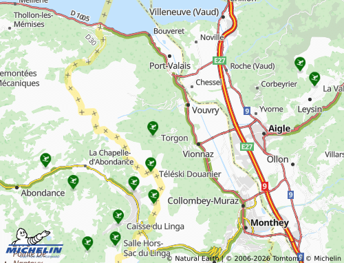 Mapa MICHELIN Torgon - ViaMichelin