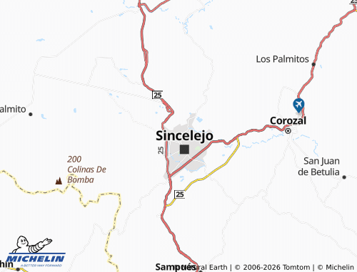 MICHELIN Vida 1 map - ViaMichelin
