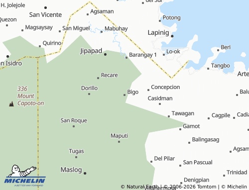 MICHELIN Bigo map - ViaMichelin