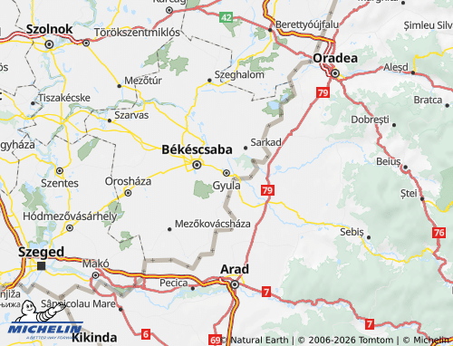 MICHELIN Gyulai járás map - ViaMichelin