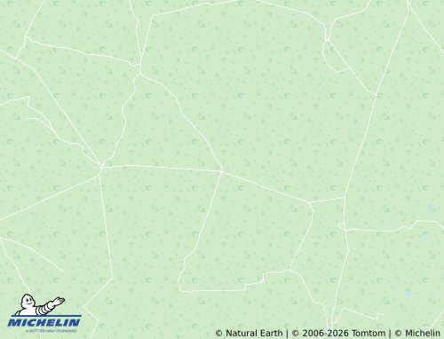 MICHELIN Flores Magón map - ViaMichelin