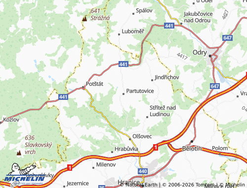 Mappa MICHELIN Partutovice - ViaMichelin